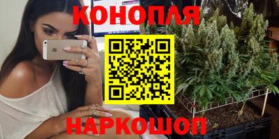 крисы Ливны
