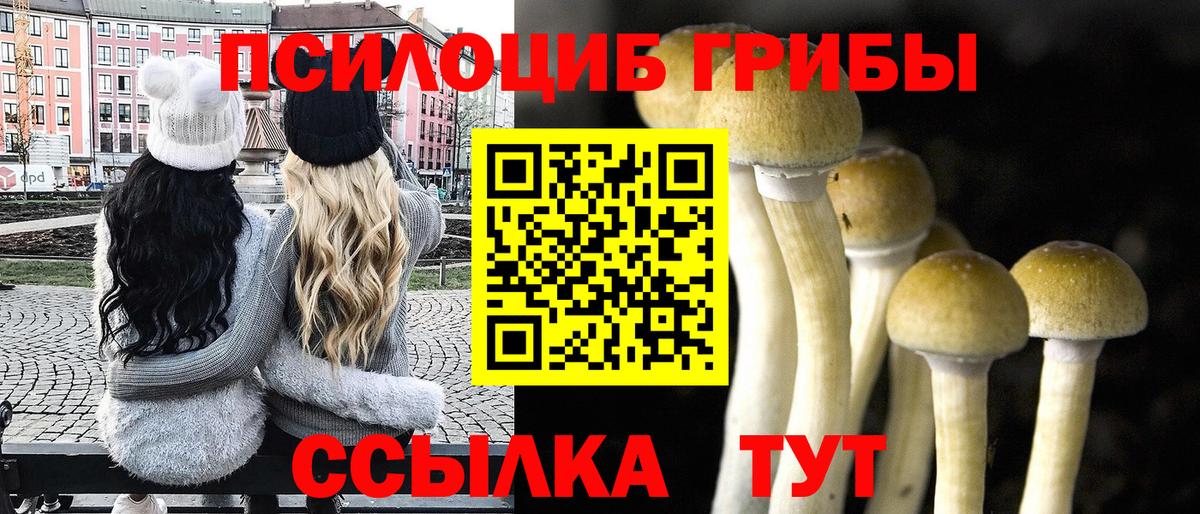Галлюциногенные грибы прущие грибы Туапсе
