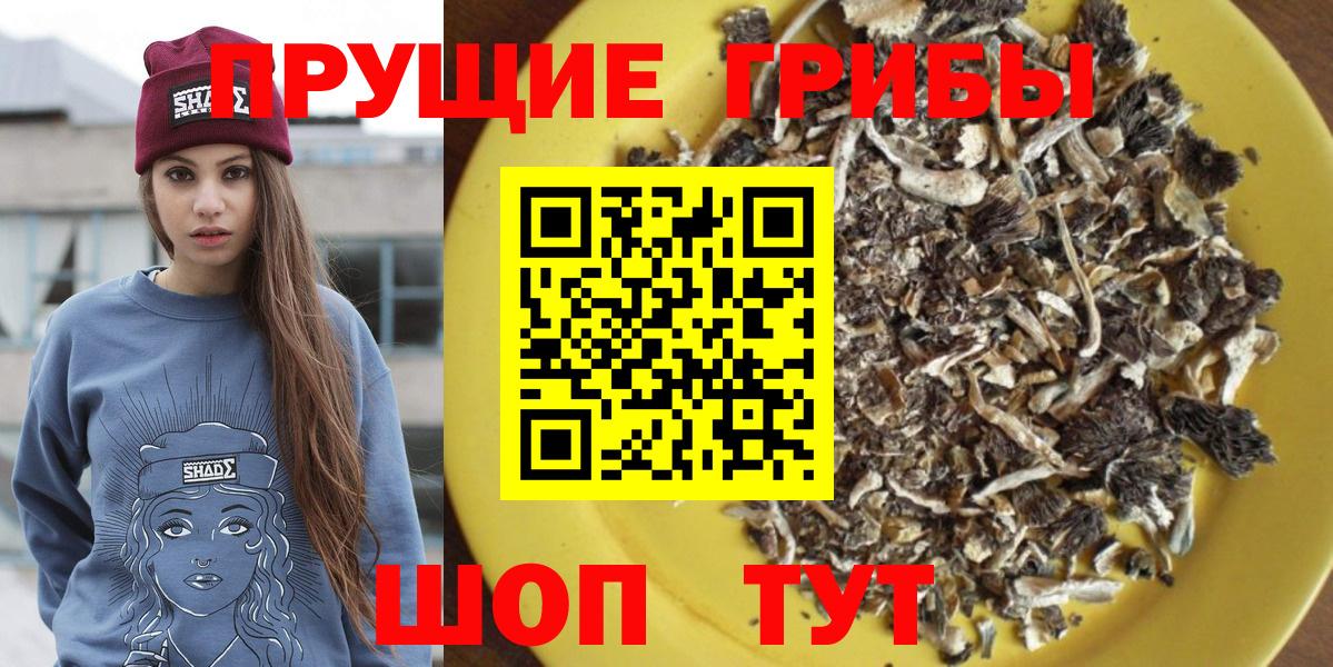 Туапсе  Галлюциногенные грибы мухоморы  Псилоцибиновые грибы мицелий  Вход с VPN 